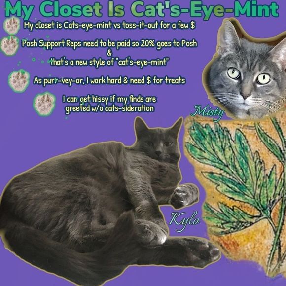 Cats-eye-mint? Yes, It's A Real Thing...on Posh - Picture 1 of 9